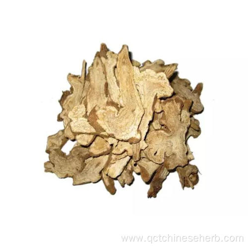 Top Quality Macrocephalae Rhizoma